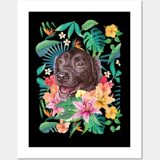 Tropical Chocolate Labrador Retriever Posters and Art